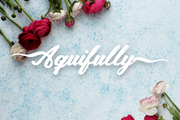 Aquifully: Crafting Fluid Elegance in Every Character